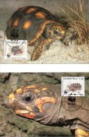 VENEZUELA. N°1584-7 Sur 4 Cartes Maximum (Maximum Cards) De 1992. WWF Tortues. - Schildkröten