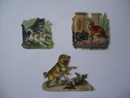 3 MIGNONS PETITS CHROMOS DECOUPIS GAUFRES  - CHATS ET CHIENS JOUEURS - Animals