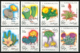 1995 Somalia Piante Grasse Plants Grease Plantes Grasses Set MNH** - Sukkulenten