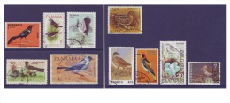 G224 / Aves / Oiseaux / Birds - Konvolute & Serien