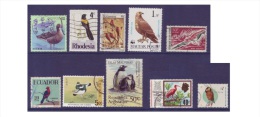 G225 / Aves / Oiseaux / Birds - Collections, Lots & Series