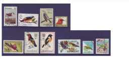 G227 / Aves / Oiseaux / Birds - Colecciones & Series