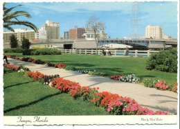 Tampa - Florida - Skyline Of Tampa - Tampa