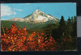 Oregon - Portland - Hood From Lolo Pass - Portland