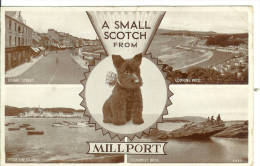 A Small Scotch From MILLPORT - Ayrshire