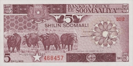 Somali - P 31 -  5 Shilin- -1986 - Unc - Somalie