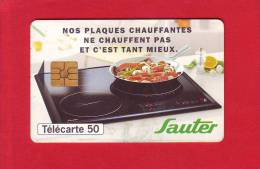17 - Telecarte Publique Plaque Sauter  ( F815 GEM2) - 1998