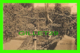 RHEINSTEIN, GERMANY - SCHLOSS - - G. M. B. H., 1905 - - Rhein-Hunsrück-Kreis