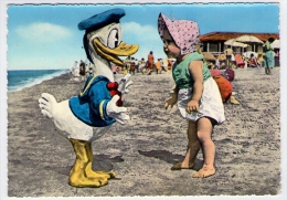 Postcard - Disney, Italia, Paperino         (V 18862) - Disneyworld