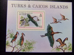 TURKS & CAICOS ISLANDS 1980 FAUNA BIRDS PAJAROS OISEAUX Yvert N º 21 ** MNH  SG Nº MS 21 ** MNH - Turks E Caicos