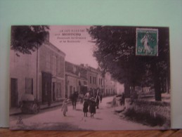 MONTCUQ (LOT) LES COMMERCES. LES MAGASINS. LES VOITURES. PROMENADE DES ORMEAUX ET LES BOULEVARDS. - Montcuq