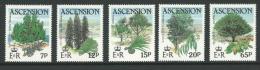 Set Of  5 Trees & Shurbs  Complete MUH Full Gum On Rear Nice Looking Set - Ascension (Ile De L')