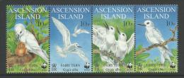 World Wildlife Fund Birds Strip Of 4 All Different MUH Full Gum On Rear Nice Looking Set - Ascension (Ile De L')