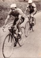 P 713 - TOUR DE SUISSE - 1954 - Monti Et Fornara  Au Cours De La 1er étape - - Cycling