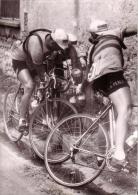 P 726 -TOUR DE FRANCE - 1954 - Arret Fontaine - - Cycling