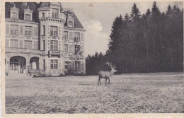 Libramont - Domaine De Roumont. - "Le Château." - Libramont-Chevigny