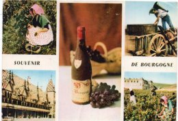 CP, LA BOURGOGNE, Multivues, Voyagé En 1966 - Viñedos