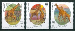 2000 Somalia Fauna Giraffe Giraffes Girafes MNH** - Girafes