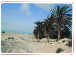 (400M) Africa - Cabo Verde - Ile Du Cap Vert - Boa Vista Island - - Cap Vert