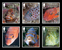 GUERNSEY  2012 FISH  VISSEN   Postfris/mnh/neuf - Nuovi