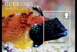 GUERNSEY  2012 FISH  VISSEN BLOK-M/S  Postfris/mnh/neuf - Ongebruikt