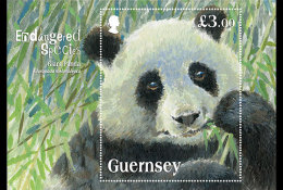 GUERNSEY  2013 GIANT PANDA  BLOK-M/S  Postfris/mnh/neuf - Unused Stamps