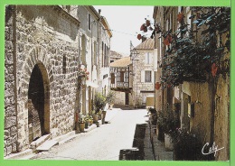 MONTCUQ / VIEILLE RUE FLEURIE.... / Carte Vierge - Montcuq