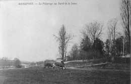 Rangiport : Le Paturage Au Bord De La Seine - Autres Communes