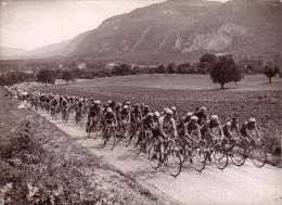 P 742 - TOUR DE FRANCE - Les Coureurs Dans La Montagne - - Cycling