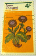 New Zealand 1972 Alpine Plants Black Scree Cotula 4c - Used - Usados