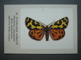 Pocket Calendar Butterflies 1989 Lietuva Litauen Lituanie Litouwen Lithuania # 10 New - Formato Grande : 1981-90