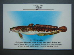 Pocket Calendar Fishes 1989 Lietuva Litauen Lituanie Litouwen Lithuania # 10 New - Big : 1981-90