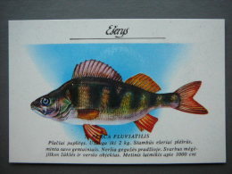 Pocket Calendar Fishes 1989 Lietuva Litauen Lituanie Litouwen Lithuania # 7 New - Big : 1981-90