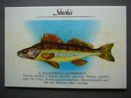 Pocket Calendar Fishes 1989 Lietuva Litauen Lituanie Litouwen Lithuania # 8 New - Big : 1981-90