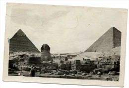 EGYPTE CAIRO  Tte SPHINX & PYRAMIDS - Piramidi