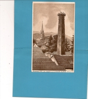 13 / 7 / 395  -  GIROMAGNY   1935  - Les Cigognes Sur La Cheminée Du Brulé - Giromagny