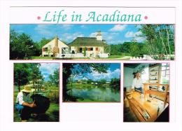 C2926 Life In Acadiana / Non Viaggiata - Other & Unclassified