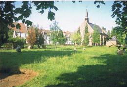 Dendermonde Begijnhof Schapenweide Met Begijnhofkerk - Dendermonde