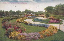 Minnesota Saint Paul Flowers In Como Park - St Paul