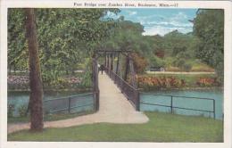 Minnesota Rochester Foot Bridge Over Zumbro River - Rochester