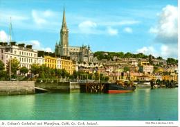 CORK : La Cathédrale Saint Colman - Cork