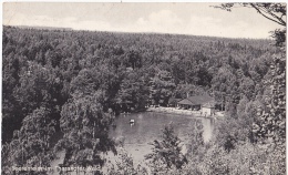 CPA,THARANDT,THARANDTER WALD,FOREST,VILLA,GERMANY - Tharandt