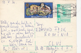 BIRDS, STAMPS ON PC STATIONERY, ENTIER POSTAL, 1971, HUNGARY - Brieven En Documenten