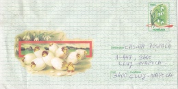 EGGS,CHICKEN,SNOWDROP,COV ER STATIONERY,1999,ROMANIA - Gallinacées & Faisans