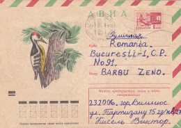 WOODPECKER, AIR MAIL COVER,1975,RUSSIA - Climbing Birds