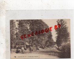 87 - LAURIERE - L' ALLEE DES CHENES - Lauriere