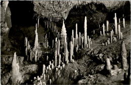 AK Fränkische Schweiz,Teufelshöhle,Neue Abteilung,ung(Pottenstein,Dr.Hans Brand) - Pottenstein