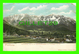 PUCHBERG, AUSTRIA - SCHNEEBERG, 2075 M, VON DER FRIEDRICHSHOHE BEI PUCHBERG A. S. Aus - MEHNER & MAAS - TRAVEL IN 1911 - - Neunkirchen