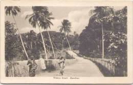 ZANZIBAR - Walezo Road - Tansania