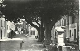 LA GARDE-FREINET -  PLACE VIEILLE ET GRANDE RUE   BELLE CARTE ANIMEE - La Garde Freinet